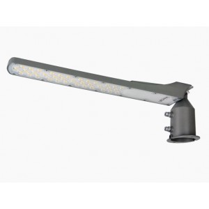 Gatvės šviestuvas Flamingo su foto rėle LED 230V 100W, pilkas