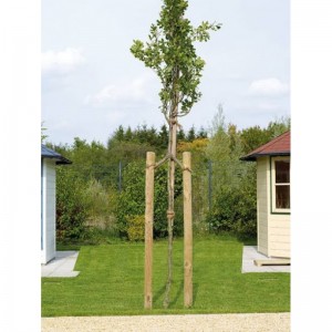 Kuolas tekintas impregnuotas 50x1500 mm