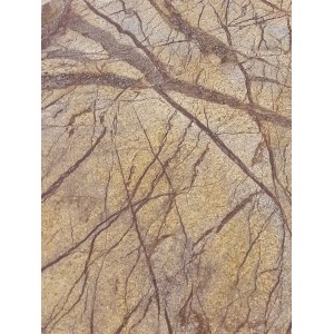 Rainforest Brown lankstus akmuo 122x61 cm, (1vnt=0,75m2)