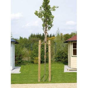 Kuolas tekintas impregnuotas 5x200cm