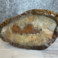 Agatas Grande Amazonia 4,45kg