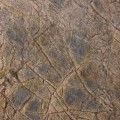 Rainforest Brown lankstus akmuo 265x125 cm, (1vnt. 3,31m2)