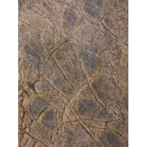 Rainforest Brown lankstus akmuo 265x125 cm, (1vnt. 3,31m2)