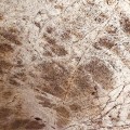 Rainforest Green peršviečiamas 265x125 cm, (1vnt. 3,31m2)