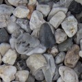 Kvarcas šviesus gludintas 16/32mm, 20kg (tik Garliavoje)