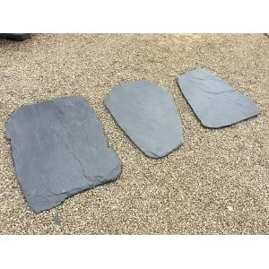 Pėdos Japanese 50-70 cm, vnt