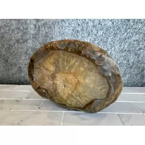Agatas Grande Amazonia 4,4kg