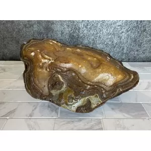 Agatas Grande Amazonia 6,2kg