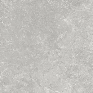 Plytelės Missouri Grey 60x60x2 cm, vnt