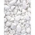 Balti gludinti akmenukai 15/25, 20 kg