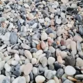 Laguna multicolor gludinti 15/25; 25/50, 1000kg