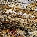 Burning Forest peršviečiamas 122x61 cm, m2