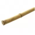 Bambuko lazda 120 cm, vnt