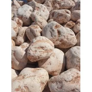 Coralo gludinti sveriami, kg