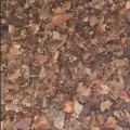 Pušų žievės mulčias Premium 0,5/10 mm, 50l