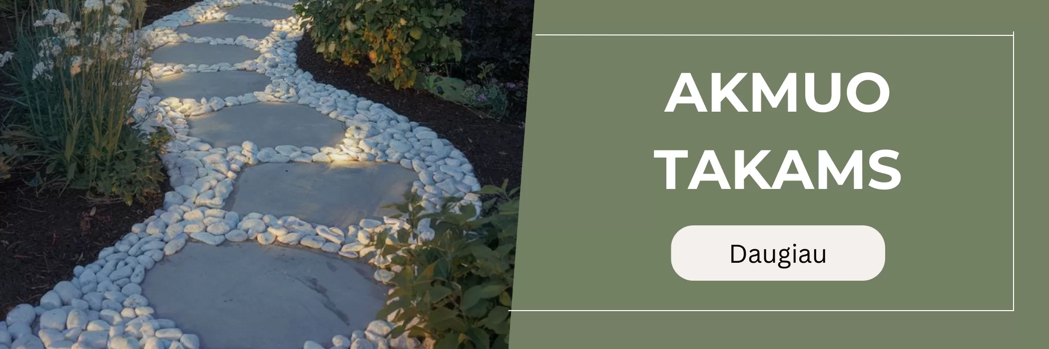 akmuo takams
